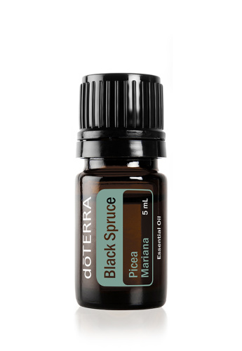 картинка Black Spruce/ Черная ель ( Picea mariana ), 5 мл Эфирные масла doTERRA от интернет магазина aroma4you.ru