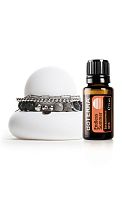 картинка Endless Summer w/ Bracelet / Набор «Формула лета»  Эфирных масел doTERRA от интернет магазина aroma4you.ru