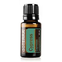 картинка Cypress (Cupressus sempervirens) Essential Oil / Кипарис , эфирное масло 15мл Эфирных масел doTERRA от интернет магазина aroma4you.ru