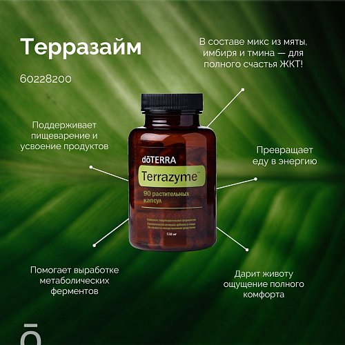 Пищеварению в помощь