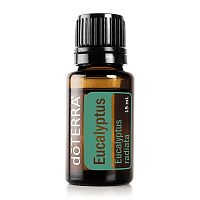 картинка Eucalyptus (Eucalyptus radiata) Essential Oil / Эвкалипт, эфирное масло 15мл Эфирных масел doTERRA от интернет магазина aroma4you.ru